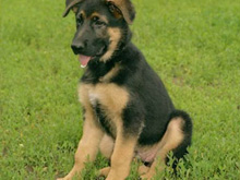 Фото новости