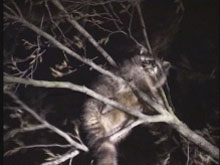 Фото новости