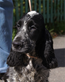 Фото новости